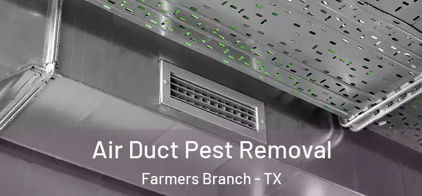  Air Duct Pest Removal Farmers Branch - TX