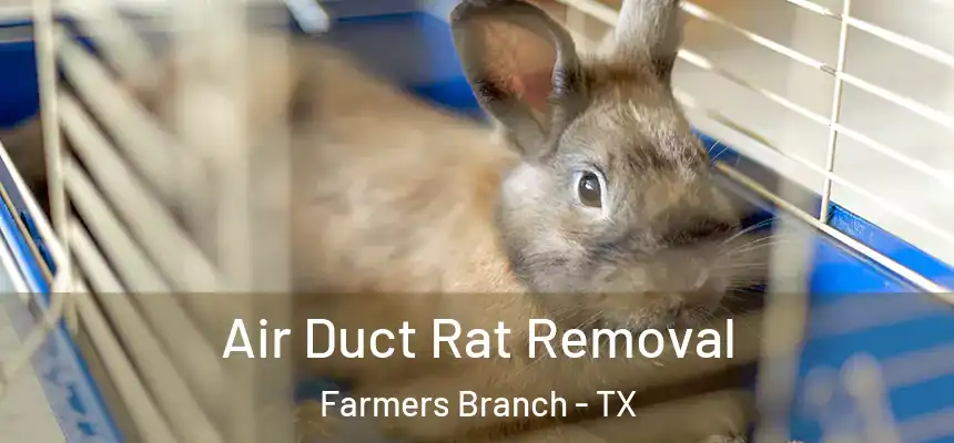  Air Duct Rat Removal Farmers Branch - TX