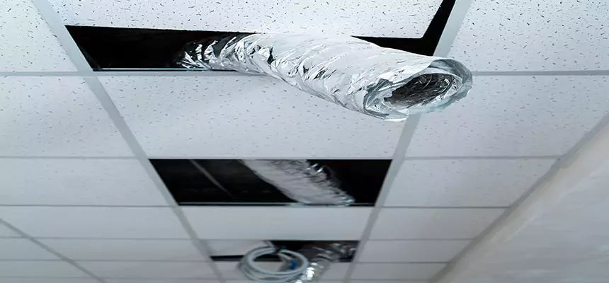 Affordable HVAC Sanitizing After Pest Removal in Farmers Branch