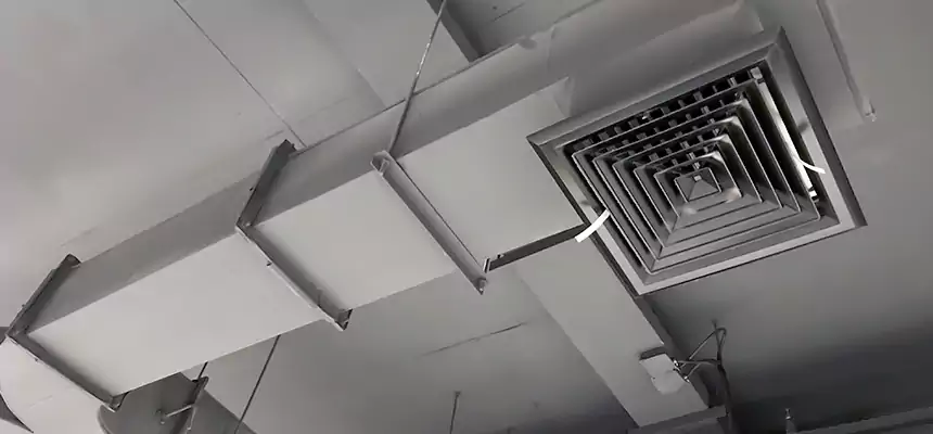 Restorative Allergy Relief Vent Cleaning – Coil, Blower & Housing Detail in Farmers Branch