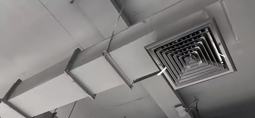 Our Rodent Droppings In Vents Services in Farmers Branch, TX