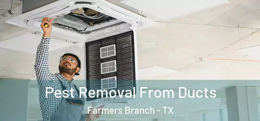  Pest Removal From Ducts Farmers Branch - TX