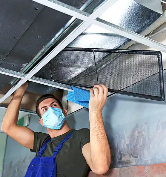 About Air Duct Bacteria Removal in Farmers Branch