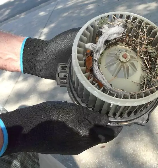 About Air Duct Rat Removal in Farmers Branch, TX