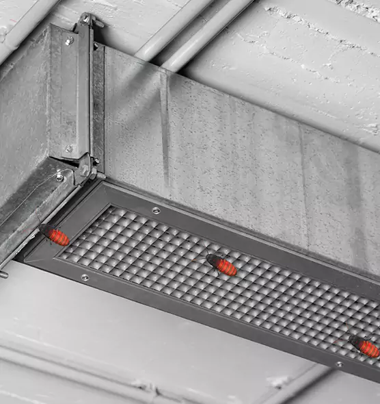 Affordable Insect Removal from Air Ducts in Farmers Branch, TX