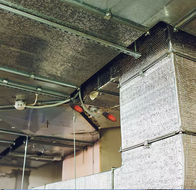 Why Homeowners & Businesses Trust Us Farmers Branch, TX?