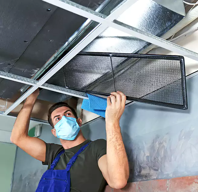 Why Homeowners Businesses Trust Us in Farmers Branch, TX