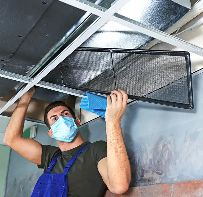 Why Homeowners & Businesses Trust Us in Farmers Branch, TX?